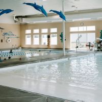 Blue Dolphin Swim School